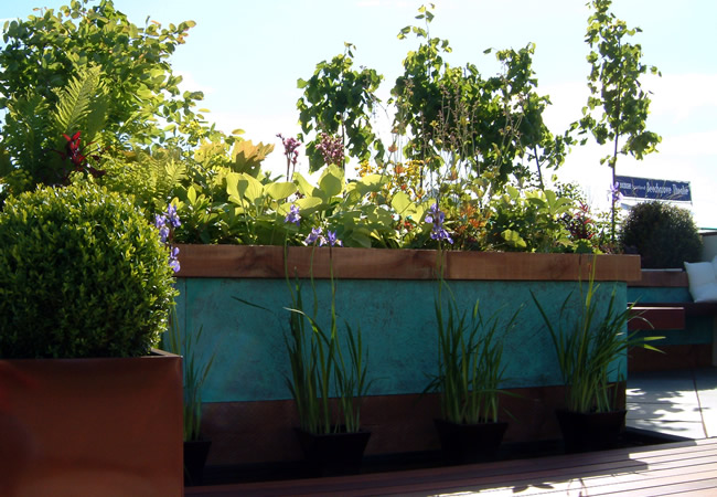 View Show Gardens